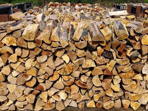 tan-oak-firewood